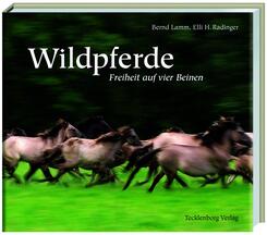D&uuml;lmener Wildpferde
