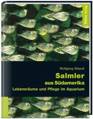 Salmler aus S&uuml;damerika