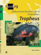 Afrikanische Buntbarsche - Tl.2