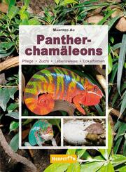 Panthercham&auml;leons