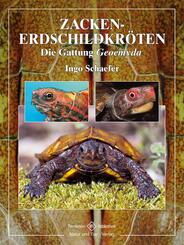 Zackenerdschildkröten