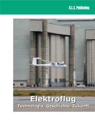 Elektroflug (eBook, PDF)