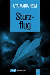 Sturzflug (eBook, ePUB)