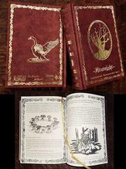 Im Schatten der Hexen II