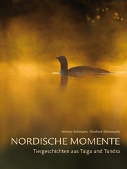 Nordische Momente (eBook, ePUB)