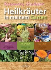 Heilkr&auml;uter in meinem Garten