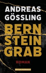 Bernsteingrab (eBook, ePUB)