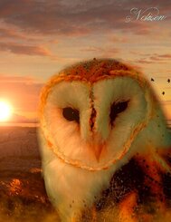 Fantasy Notizbuch: Eulenseele - wei&szlig;e Seiten mit Eckmotiv