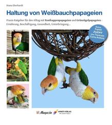 Haltung von Wei&szlig;bauchpapageien