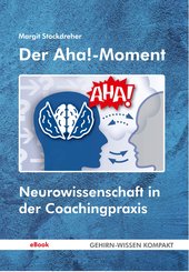 Der Aha!-Moment (eBook, ePUB)