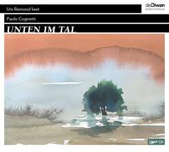 Unten im Tal,1 Audio-CD, MP3