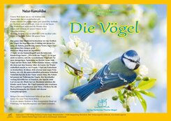 Natur-Kamishibai / Kamishibai - Die V&ouml;gel