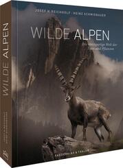 Wilde Alpen
