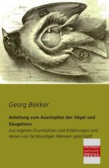 Anleitung zum Ausstopfen der V&ouml;gel und S&auml;ugetiere