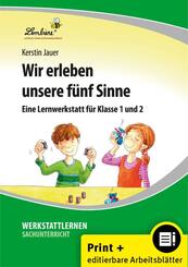 Wir erleben unsere f&uuml;nf Sinne, m. 1 CD-ROM