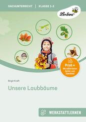 Unsere Laubb&auml;ume