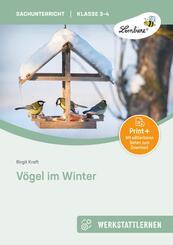 V&ouml;gel im Winter