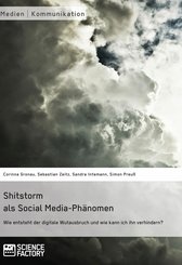 Shitstorm als Social Media-Phänomen. Wie entsteht der digitale Wutausbruch und wie kann ich ihn verhindern? (eBook, PDF/ePUB)