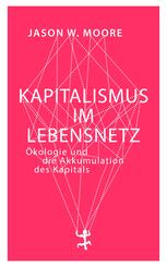 Kapitalismus im Lebensnetz