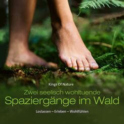 Spazierg&auml;nge Im Wald
