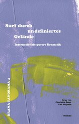 Surf durch undefiniertes Gelände (eBook, PDF)