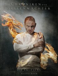 Die Chroniken der Seelenwächter - Band 12: Die Erlösung (Urban Fantasy) (eBook, PDF)