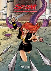 Storm - Die Chroniken von Rothaar. Band 1