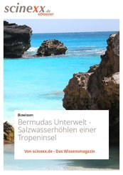 Bermudas Unterwelt (eBook, ePUB)