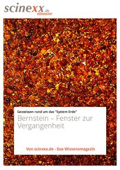 Bernstein (eBook, ePUB)