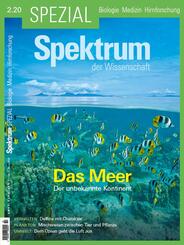 Das Meer