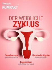 Spektrum Kompakt - Der weibliche Zyklus (eBook, PDF)