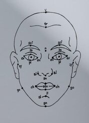 Megan Williams, Sheung Yiu: (Inter)Faces of Predictions