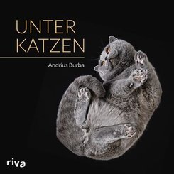 Unter Katzen (eBook, PDF)