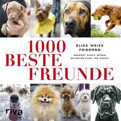 1000 beste Freunde (eBook, ePUB)