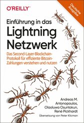 Einführung in das Lightning Netzwerk (eBook, ePUB)