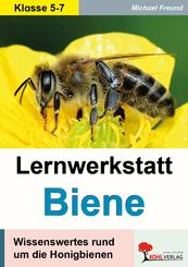 Lernwerkstatt Biene