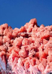 After Nature | Ulrike Crespo Photography Prize 2025