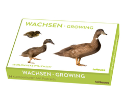 Kunstkartenbox - Wachsen (24 Postkarten)