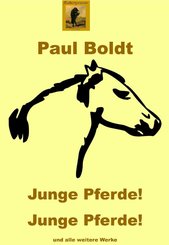 Junge Pferde! Junge Pferde! (eBook, PDF)