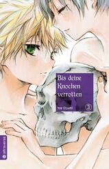 Bis deine Knochen verrotten.Bd.3