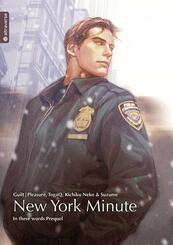 New York Minute, Light Novel