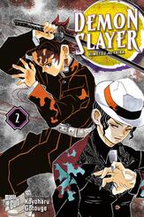 Demon Slayer. Bd.2.Bd.2