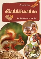 Eichh&ouml;rnchen