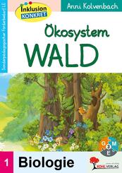 &Ouml;kosystem Wald