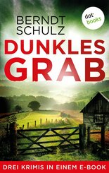 Dunkles Grab (eBook, ePUB)