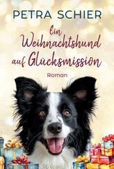 Ein Weihnachtshund auf Gl&uuml;cksmission