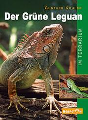 Der Gr&uuml;ne Leguan im Terrarium