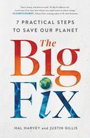 The Big Fix