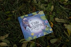 Finn Fledermaus und das Blenden in der Nacht