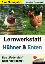 Lernwerkstatt H&uuml;hner und Enten / Grundschule